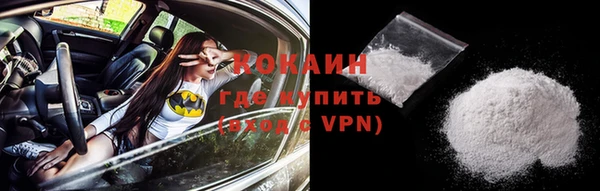 прущие грибы Богданович