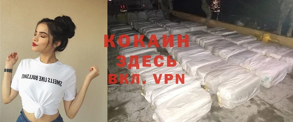 прущие грибы Богданович