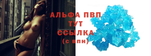 прущие грибы Богданович