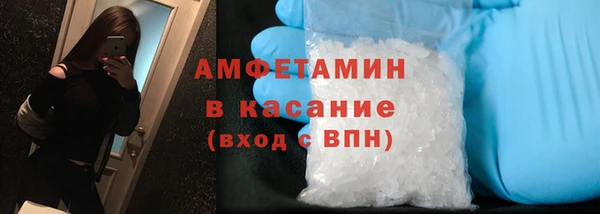 прущие грибы Богданович
