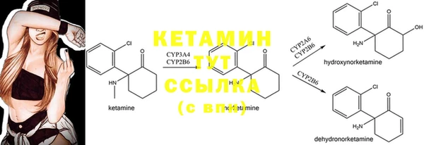 прущие грибы Богданович