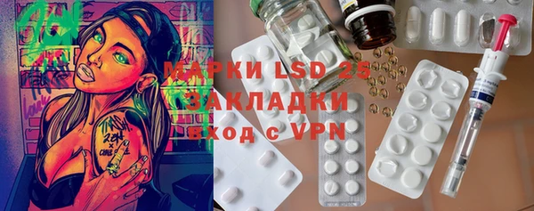 прущие грибы Богданович